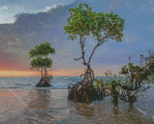 Mangrove Forest Diamond Paintings