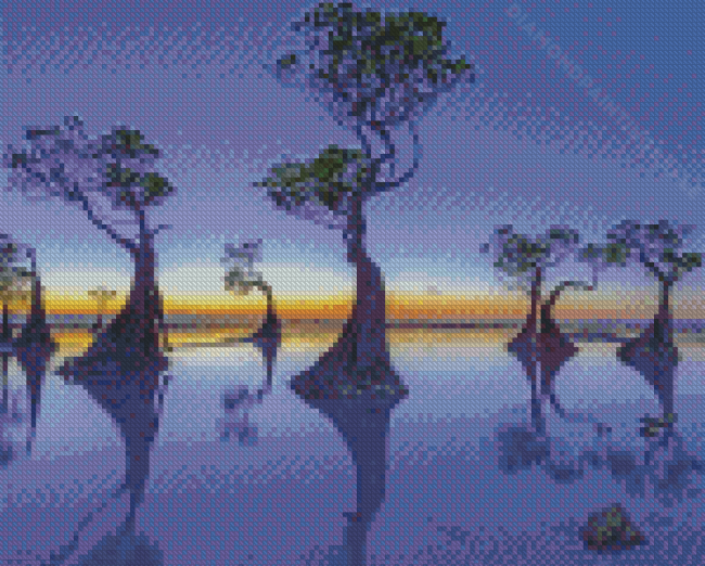 The Mangroves Trees Diamond Paintings