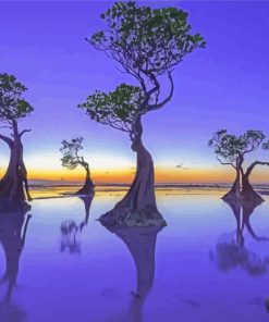 The Mangroves Trees Diamond Painting