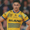 Aesthetic Parramatta Eels Diamond Paintings