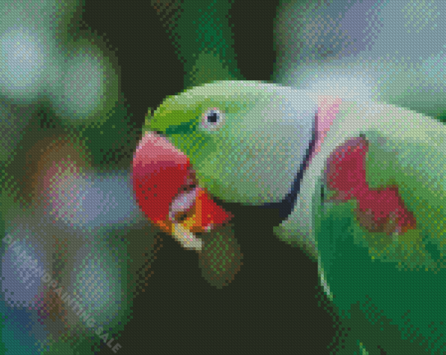 Alexandrine Parakeet Bird Eating Diamond Paintings