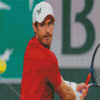 Andy Murray Diamond Paintings