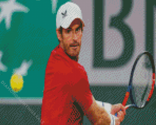 Andy Murray Diamond Paintings