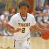 Basketball Player Missouri Tigers Diamond Painting