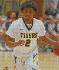 Basketball Player Missouri Tigers Diamond Paintings