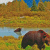 Bear In Water Alaska Diamond Paintings