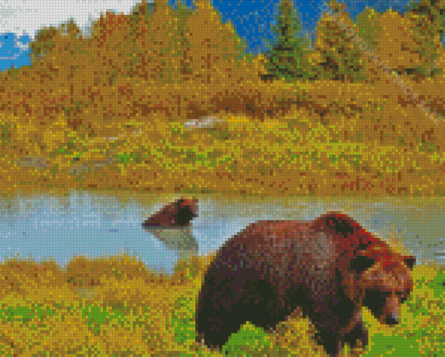 Bear In Water Alaska Diamond Paintings