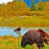 Bear In Water Alaska Diamond Painting