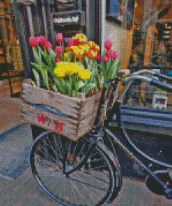 Bicycle And Tulips Diamond Paintings