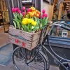 Bicycle And Tulips Diamond Painting