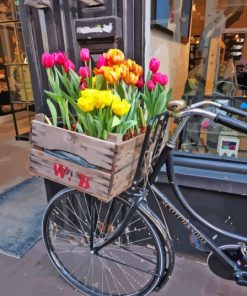 Bicycle And Tulips Diamond Painting