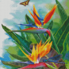 Bird Of Paradise And Butterfly Diamond Paintings