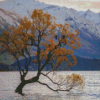 Birds On Tree In Lake Wanaka Diamond Paintings