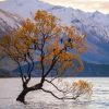 Birds On Tree In Lake Wanaka Diamond Painting