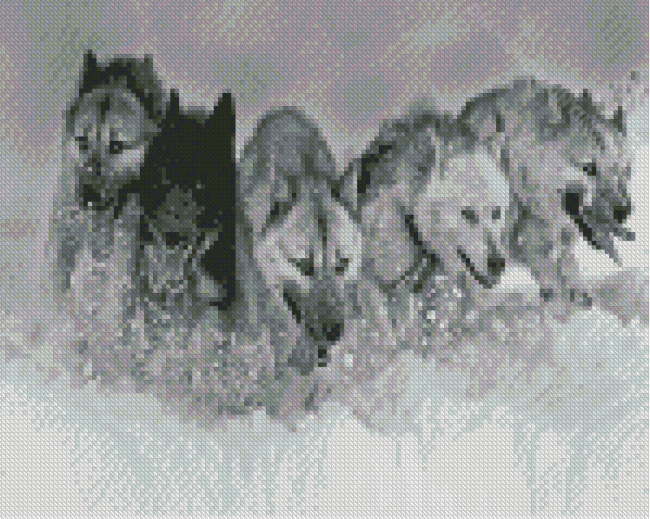 Black And White Sled Dogs Diamond Paintings