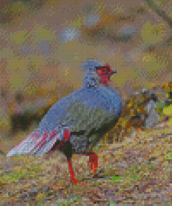 Blood Pheasant Diamond Paintings