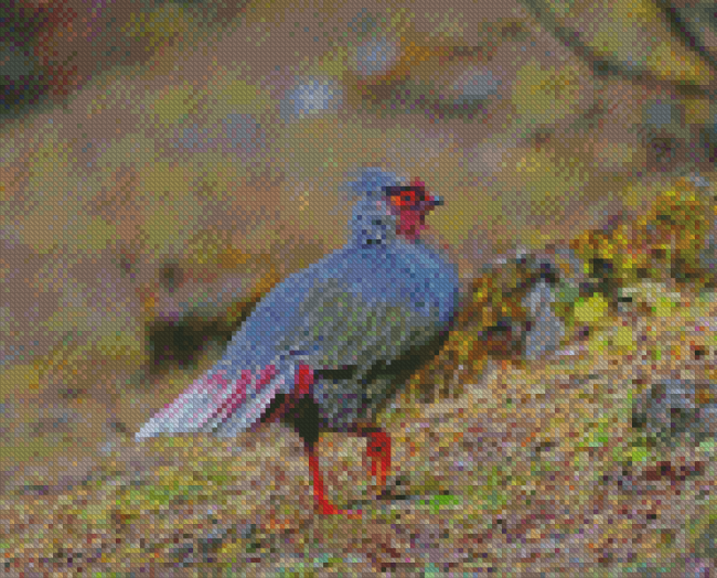 Blood Pheasant Diamond Paintings