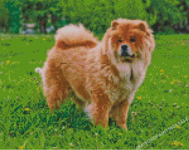 Chow Chow Dog Diamond Paintings