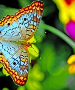 Colorful Butterfly On Flower Diamond Painting