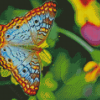 Colorful Butterfly On Flower Diamond Paintings