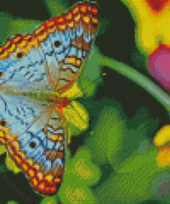 Colorful Butterfly On Flower Diamond Paintings