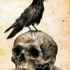 Crow Bird And Skull Diamond Painting