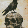 Crow Bird And Skull Diamond Paintings
