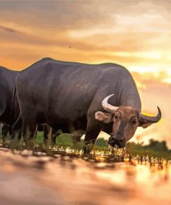 Domestic Water Buffalo Diamond Painting