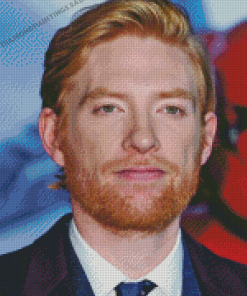 Domhnall Gleeson Diamond Paintings