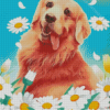 Golden Retriever With Daisies Art Diamond Paintings