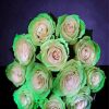 Green And White Flowers Diamond Painting
