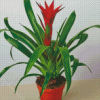 Guzmania Bromeliad Pot Diamond Paintings