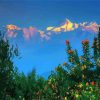 Himalayas At Sunset With Flowers Diamond Painting