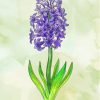 Hyacinth Art Diamond Painting