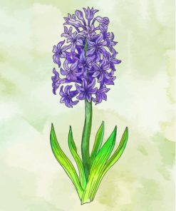 Hyacinth Art Diamond Painting