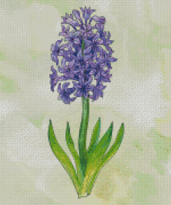 Hyacinth Art Diamond Paintings