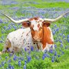 Longhorn In Bluebonnets Diamond Painting