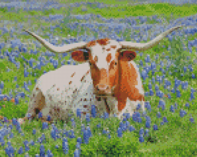 Longhorn In Bluebonnets Diamond Paintings