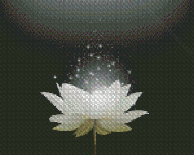 Magical White Lotus Diamond Paintings