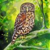 Morepork Bird Diamond Painting