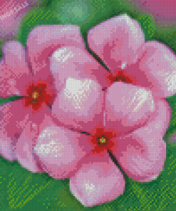 Pink Periwinkle Flowers Diamond Paintings