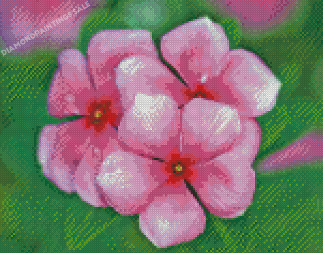 Pink Periwinkle Flowers Diamond Paintings