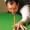 Ray Reardon Snooker Player Diamond Painting