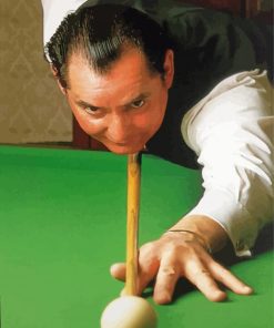 Ray Reardon Snooker Player Diamond Painting