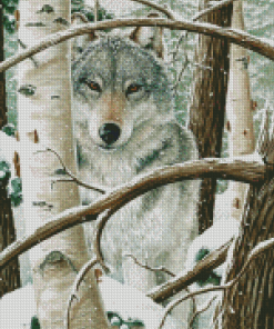 Snow Wolf Among Birches Diamond Paintings