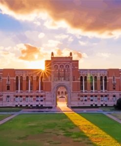 Texas Rice University Diamond Painting