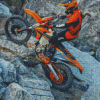 The Enduro Sport Diamond Paintings