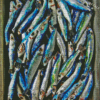 The Sardines Diamond Paintings
