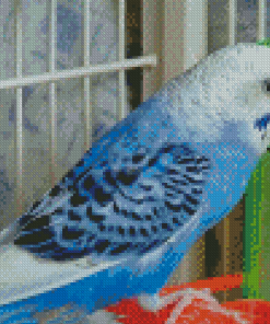 The Blue Parakeet Diamond Paintings