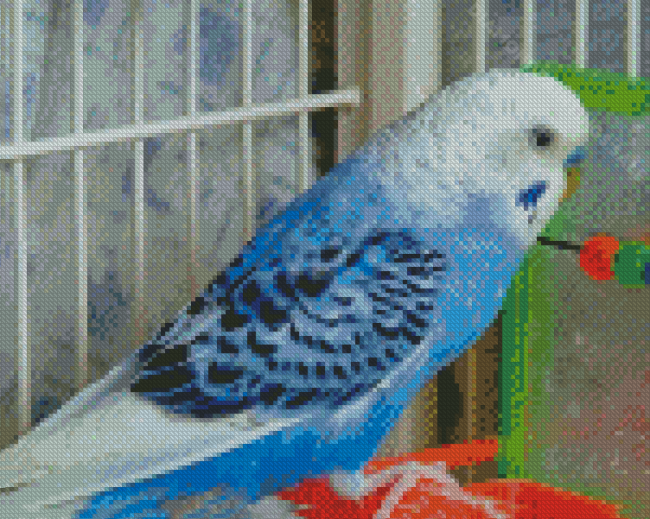 The Blue Parakeet Diamond Paintings